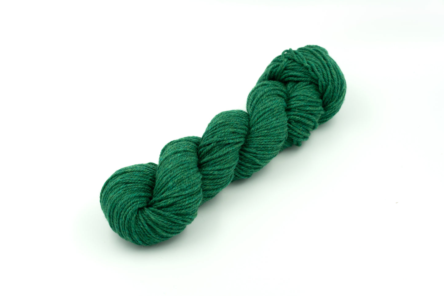 Pintail - Holly Green