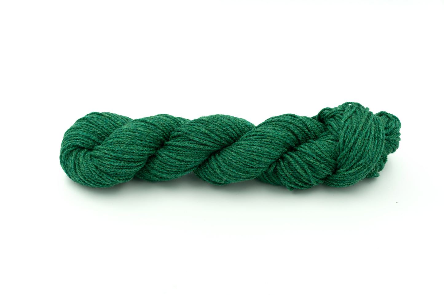 Pintail - Holly Green
