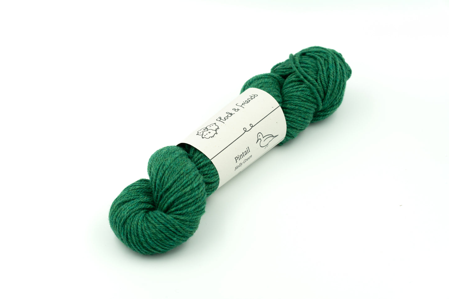 Pintail - Holly Green