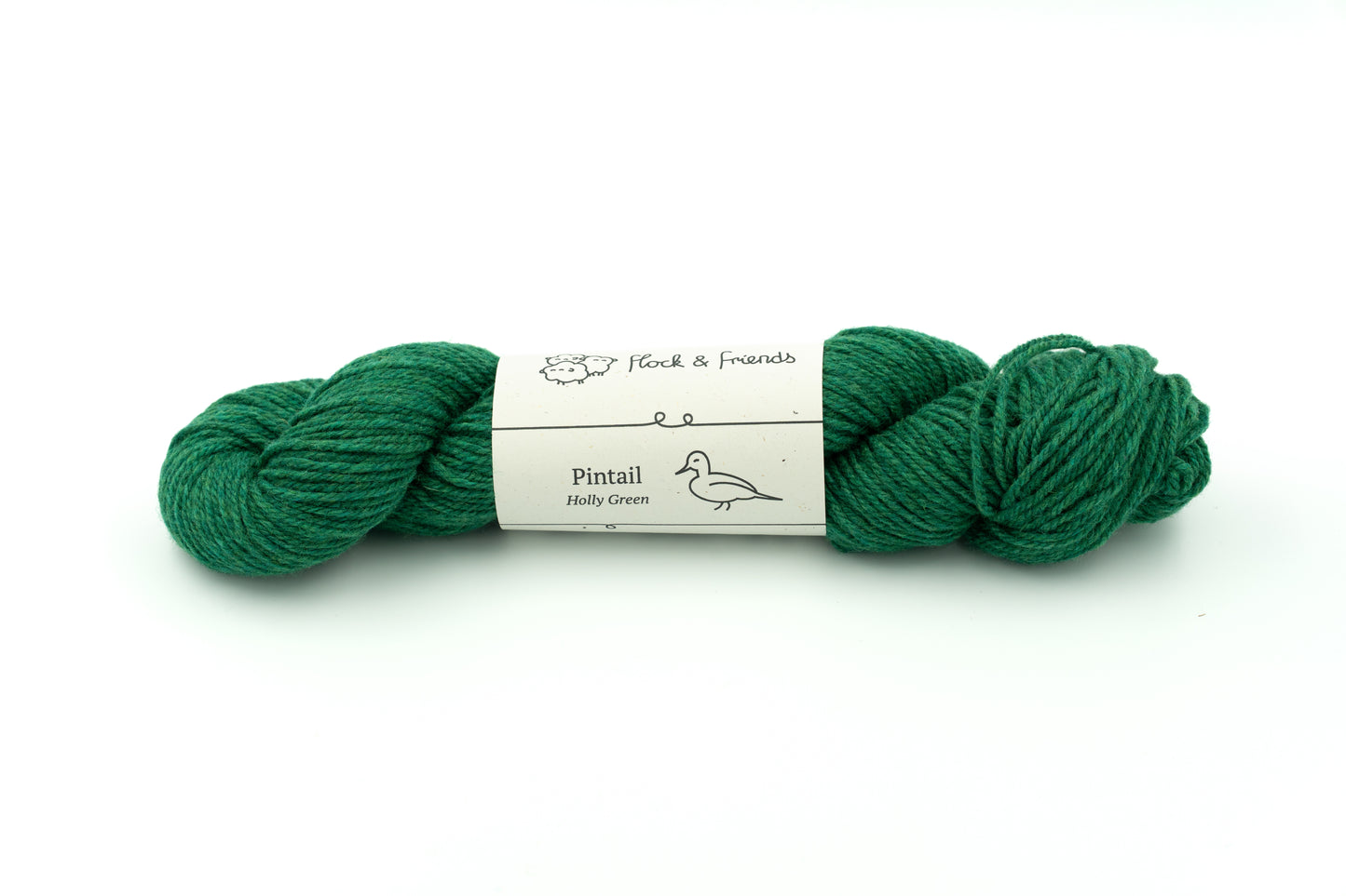 Pintail - Holly Green