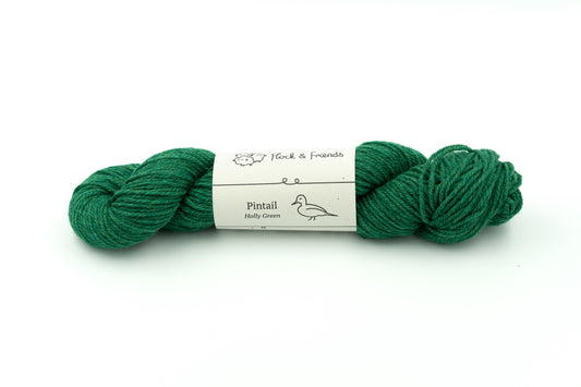 Pintail - Holly Green
