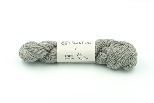 Pintail - Winter Fog